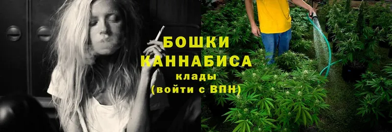 цены наркотик  Электрогорск  Бошки Шишки Ganja 